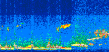 /calipso-imagery/data/BROWSE/production/V5-00/2008-09-28/2008-09-28_00-03-35_V5.00_3_thmb.png image missing