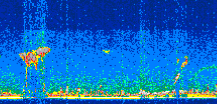/calipso-imagery/data/BROWSE/production/V5-00/2008-10-09/2008-10-09_01-22-38_V5.00_3_thmb.png image missing