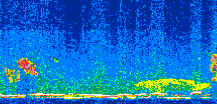 /calipso-imagery/data/BROWSE/production/V5-00/2008-10-09/2008-10-09_12-54-45_V5.00_2_thmb.png image missing