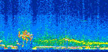 /calipso-imagery/data/BROWSE/production/V5-00/2008-10-09/2008-10-09_14-33-35_V5.00_2_thmb.png image missing