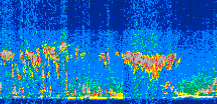 /calipso-imagery/data/BROWSE/production/V5-00/2008-10-09/2008-10-09_17-51-21_V5.00_3_thmb.png image missing