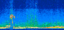 /calipso-imagery/data/BROWSE/production/V5-00/2008-10-09/2008-10-09_21-09-06_V5.00_3_thmb.png image missing