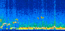 /calipso-imagery/data/BROWSE/production/V5-00/2008-10-09/2008-10-09_22-48-01_V5.00_2_thmb.png image missing