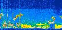 /calipso-imagery/data/BROWSE/production/V5-00/2008-10-15/2008-10-15_12-16-54_V5.00_3_thmb.png image missing