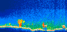 /calipso-imagery/data/BROWSE/production/V5-00/2008-10-15/2008-10-15_17-13-35_V5.00_1_thmb.png image missing