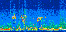 /calipso-imagery/data/BROWSE/production/V5-00/2008-10-17/2008-10-17_00-32-19_V5.00_3_thmb.png image missing