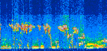/calipso-imagery/data/BROWSE/production/V5-00/2008-10-17/2008-10-17_03-49-59_V5.00_3_thmb.png image missing