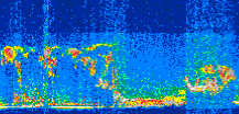 /calipso-imagery/data/BROWSE/production/V5-00/2008-10-17/2008-10-17_05-28-54_V5.00_3_thmb.png image missing