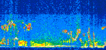 /calipso-imagery/data/BROWSE/production/V5-00/2008-10-17/2008-10-17_12-04-25_V5.00_3_thmb.png image missing