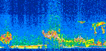 /calipso-imagery/data/BROWSE/production/V5-00/2008-10-17/2008-10-17_17-01-01_V5.00_2_thmb.png image missing