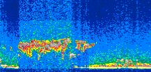 /calipso-imagery/data/BROWSE/production/V5-00/2008-10-17/2008-10-17_23-36-32_V5.00_2_thmb.png image missing
