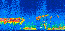 /calipso-imagery/data/BROWSE/production/V5-00/2008-11-02/2008-11-02_00-30-55_V5.00_2_thmb.png image missing