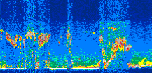 /calipso-imagery/data/BROWSE/production/V5-00/2008-11-02/2008-11-02_05-27-36_V5.00_3_thmb.png image missing