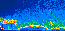 /calipso-imagery/data/BROWSE/production/V5-00/2008-11-02/2008-11-02_10-24-12_V5.00_1_thmb.png image missing