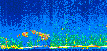 /calipso-imagery/data/BROWSE/production/V5-00/2008-11-02/2008-11-02_18-38-38_V5.00_2_thmb.png image missing