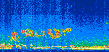/calipso-imagery/data/BROWSE/production/V5-00/2008-11-03/2008-11-03_02-52-59_V5.00_2_thmb.png image missing