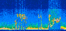 /calipso-imagery/data/BROWSE/production/V5-00/2008-11-03/2008-11-03_04-31-54_V5.00_3_thmb.png image missing