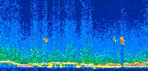 /calipso-imagery/data/BROWSE/production/V5-00/2008-11-03/2008-11-03_09-28-30_V5.00_2_thmb.png image missing