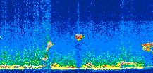 /calipso-imagery/data/BROWSE/production/V5-00/2008-11-03/2008-11-03_19-21-46_V5.00_3_thmb.png image missing