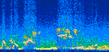 /calipso-imagery/data/BROWSE/production/V5-00/2008-11-11/2008-11-11_02-03-00_V5.00_2_thmb.png image missing