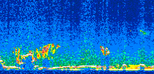 /calipso-imagery/data/BROWSE/production/V5-00/2008-11-11/2008-11-11_06-59-40_V5.00_2_thmb.png image missing