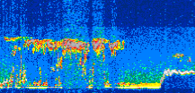 /calipso-imagery/data/BROWSE/production/V5-00/2008-11-11/2008-11-11_06-59-40_V5.00_3_thmb.png image missing
