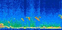 /calipso-imagery/data/BROWSE/production/V5-00/2008-11-11/2008-11-11_08-38-30_V5.00_2_thmb.png image missing