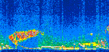 /calipso-imagery/data/BROWSE/production/V5-00/2008-11-11/2008-11-11_10-17-21_V5.00_2_thmb.png image missing
