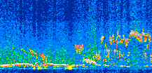 /calipso-imagery/data/BROWSE/production/V5-00/2008-11-11/2008-11-11_11-56-16_V5.00_2_thmb.png image missing