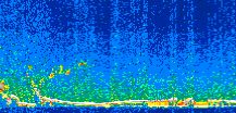 /calipso-imagery/data/BROWSE/production/V5-00/2008-11-11/2008-11-11_13-35-11_V5.00_2_thmb.png image missing