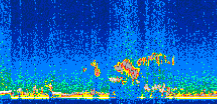 /calipso-imagery/data/BROWSE/production/V5-00/2008-11-11/2008-11-11_21-49-32_V5.00_2_thmb.png image missing