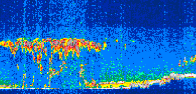 /calipso-imagery/data/BROWSE/production/V5-00/2008-11-12/2008-11-12_06-03-58_V5.00_3_thmb.png image missing