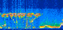 /calipso-imagery/data/BROWSE/production/V5-00/2008-11-12/2008-11-12_07-42-48_V5.00_3_thmb.png image missing