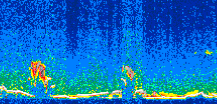 /calipso-imagery/data/BROWSE/production/V5-00/2008-11-12/2008-11-12_12-39-29_V5.00_2_thmb.png image missing