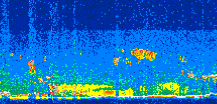 /calipso-imagery/data/BROWSE/production/V5-00/2008-11-12/2008-11-12_12-39-29_V5.00_3_thmb.png image missing