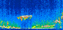 /calipso-imagery/data/BROWSE/production/V5-00/2008-11-12/2008-11-12_17-36-05_V5.00_2_thmb.png image missing