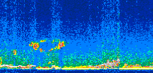 /calipso-imagery/data/BROWSE/production/V5-00/2008-11-13/2008-11-13_03-29-21_V5.00_2_thmb.png image missing