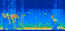 /calipso-imagery/data/BROWSE/production/V5-00/2008-11-13/2008-11-13_03-29-21_V5.00_3_thmb.png image missing