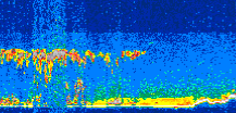 /calipso-imagery/data/BROWSE/production/V5-00/2008-11-13/2008-11-13_08-26-02_V5.00_3_thmb.png image missing