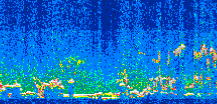 /calipso-imagery/data/BROWSE/production/V5-00/2008-11-13/2008-11-13_11-43-47_V5.00_2_thmb.png image missing