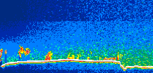 /calipso-imagery/data/BROWSE/production/V5-00/2008-11-13/2008-11-13_15-01-33_V5.00_1_thmb.png image missing