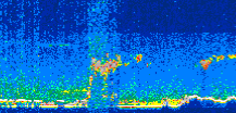 /calipso-imagery/data/BROWSE/production/V5-00/2008-11-13/2008-11-13_19-58-13_V5.00_3_thmb.png image missing