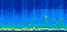 /calipso-imagery/data/BROWSE/production/V5-00/2008-11-13/2008-11-13_21-37-04_V5.00_3_thmb.png image missing