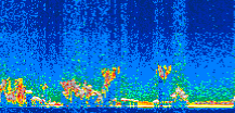 /calipso-imagery/data/BROWSE/production/V5-00/2008-11-14/2008-11-14_09-09-15_V5.00_2_thmb.png image missing