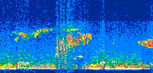 /calipso-imagery/data/BROWSE/production/V5-00/2008-11-14/2008-11-14_15-44-46_V5.00_3_thmb.png image missing