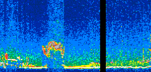 /calipso-imagery/data/BROWSE/production/V5-00/2008-11-14/2008-11-14_17-23-36_V5.00_2_thmb.png image missing
