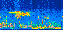 /calipso-imagery/data/BROWSE/production/V5-00/2008-11-14/2008-11-14_17-23-36_V5.00_3_thmb.png image missing