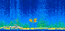 /calipso-imagery/data/BROWSE/production/V5-00/2008-11-14/2008-11-14_19-02-31_V5.00_2_thmb.png image missing