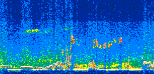 /calipso-imagery/data/BROWSE/production/V5-00/2008-11-14/2008-11-14_19-02-31_V5.00_3_thmb.png image missing