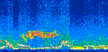 /calipso-imagery/data/BROWSE/production/V5-00/2008-11-14/2008-11-14_20-41-22_V5.00_2_thmb.png image missing